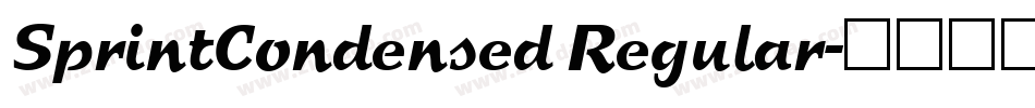 SprintCondensed Regular字体转换